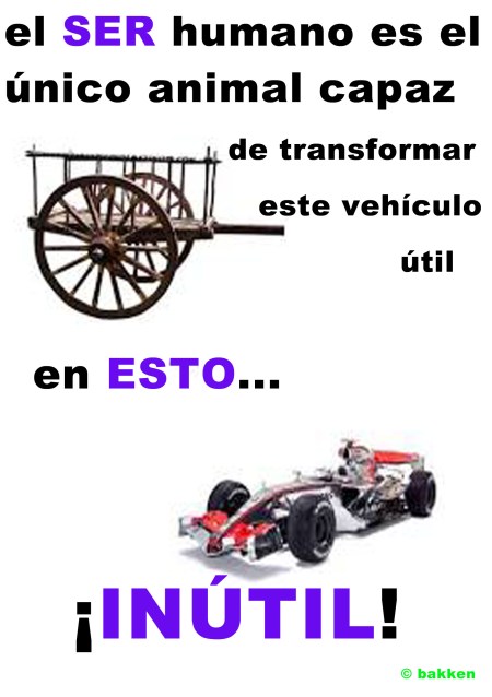 coche