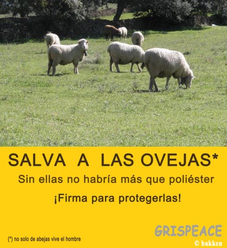 salva-a-las-ovejas